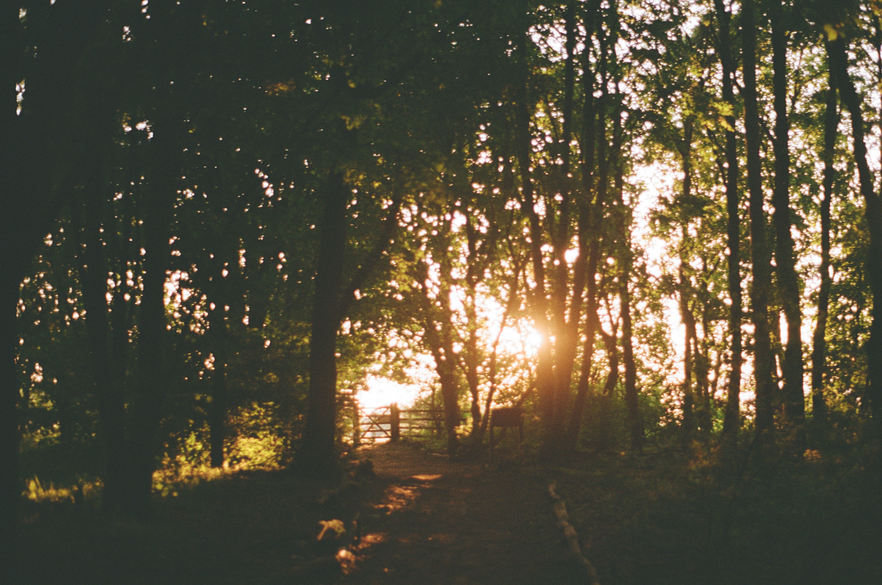 Photography work 2